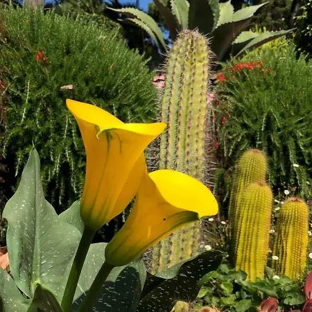 Medapartment Appartamento Sanremo